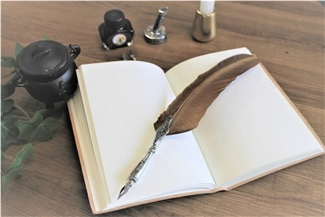 Emprunter COFFRET DE CALLIGRAPHIE 3 POINTES PLUME MARRON livre