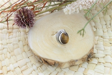 Emprunter BAGUE OEIL DE TIGRE ARGENT 925 MANIKA T52 livre