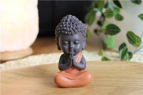Emprunter STATUETTE MINI BOUDDHA EN RESINE ORANGE 8.5 CM livre