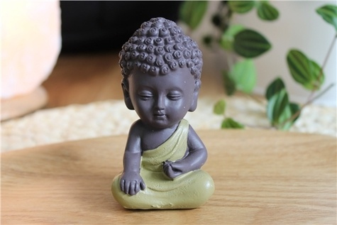 Emprunter STATUETTE MINI BOUDDHA EN RESINE VERT 8.5 CM livre