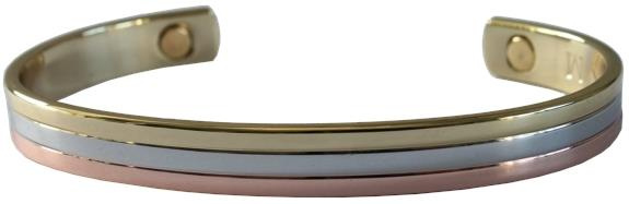 Emprunter BRACELET CUIVRE AVEC AIMANTS PETIT MODELE 3 METAUX livre