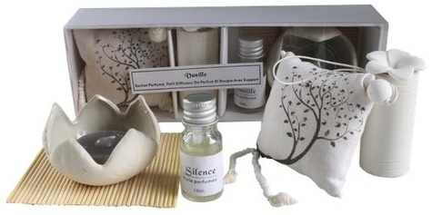 Emprunter PACK DIFFUSEUR SACHET ET BOUQUET- SET DE 2 SENTEURS (VANILLE ET SILENCE) livre