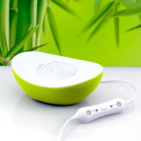 Emprunter DIFFUSEUR EN CERAMIQUE - COULEUR VERTE livre