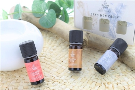 Emprunter COFFRET DIFFUSION DANS MON COCON livre