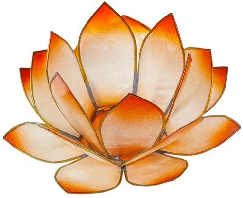 Emprunter PHOTOPHORE LOTUS - COLORIS MANDARINE livre