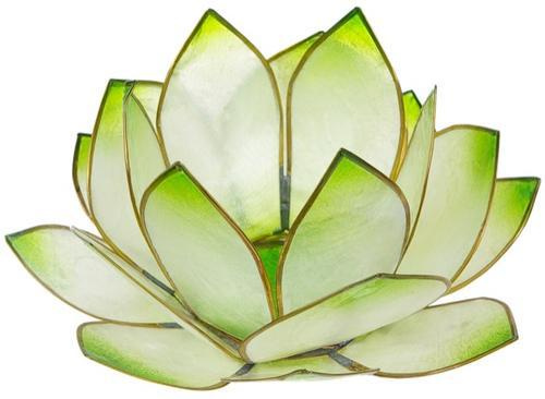 Emprunter PHOTOPHORE LOTUS - COLORIS VERT LIME livre