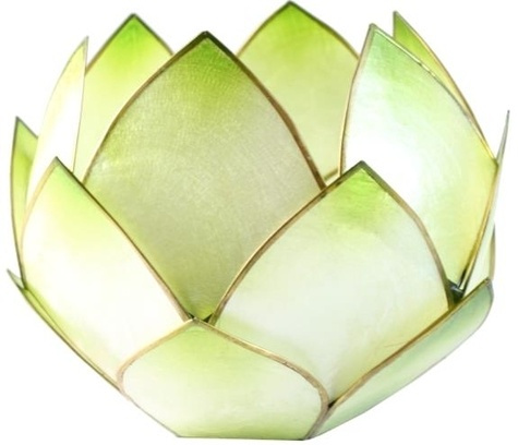 Emprunter Lotus Crépuscule - Vert Lime livre