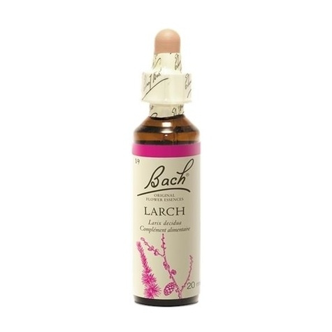 Emprunter Fleurs de Bach Original N°19 Larch - 20 ml livre