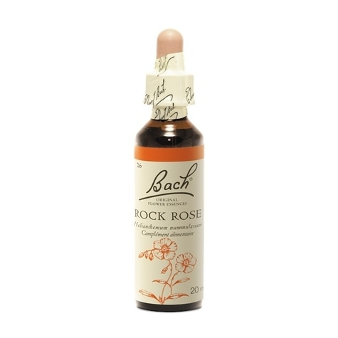 Emprunter FLEURS DE BACH ORIGINAL N 26 ROCK ROSE - 20 ML livre