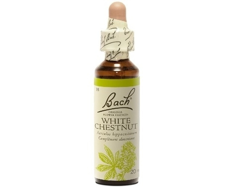 Emprunter FLEURS DE BACH ORIGINAL N 35 WHITE CHESTNUT - 20 ML livre