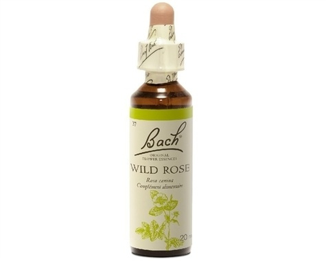 Emprunter Fleurs de Bach Original N°37 Wild Rose - 20 ml livre