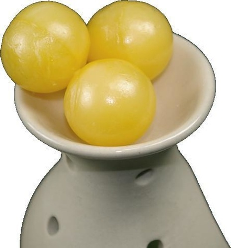 Emprunter SACHET 4 PERLES - CITRONNELLE DE JAVA livre