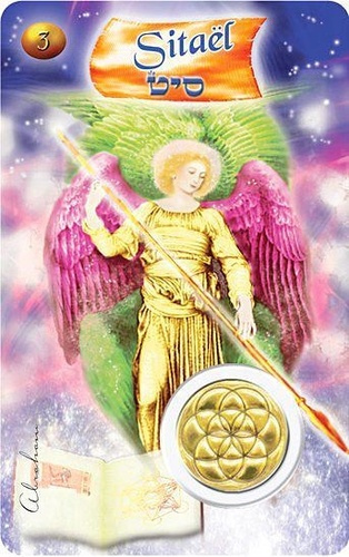 Emprunter CARTE ANGE N 3 - SITAEL livre