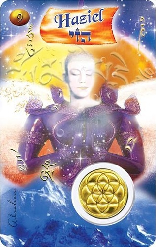 Emprunter CARTE ANGE N 9 - HAZIEL livre