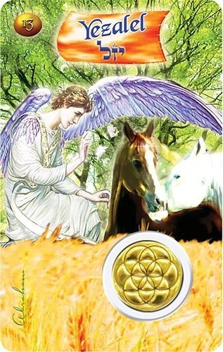 Emprunter CARTE ANGE N 13 - YEZALEL livre