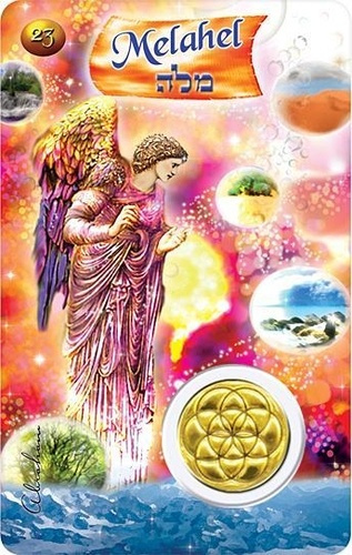 Emprunter CARTE ANGE N 23 - MELAHEL livre