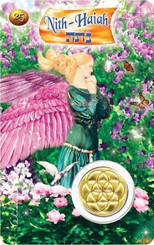 Emprunter CARTE ANGE N 25 - NITH-HAIAH livre