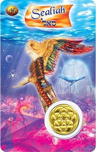 Emprunter CARTE ANGE N 45 - SEALIAH livre