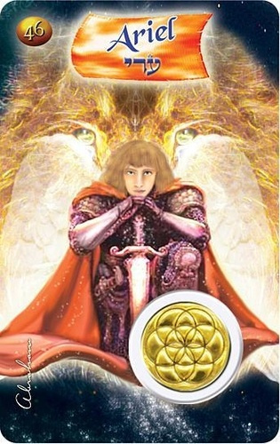 Emprunter CARTE ANGE N 46 - ARIEL livre