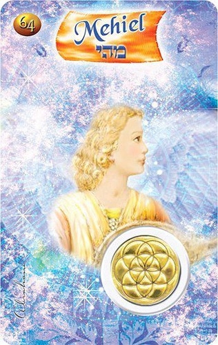 Emprunter CARTE ANGE N 64 - MEHIEL livre