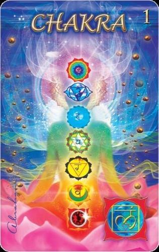 Emprunter CARTE CHAKRA - RACINE livre