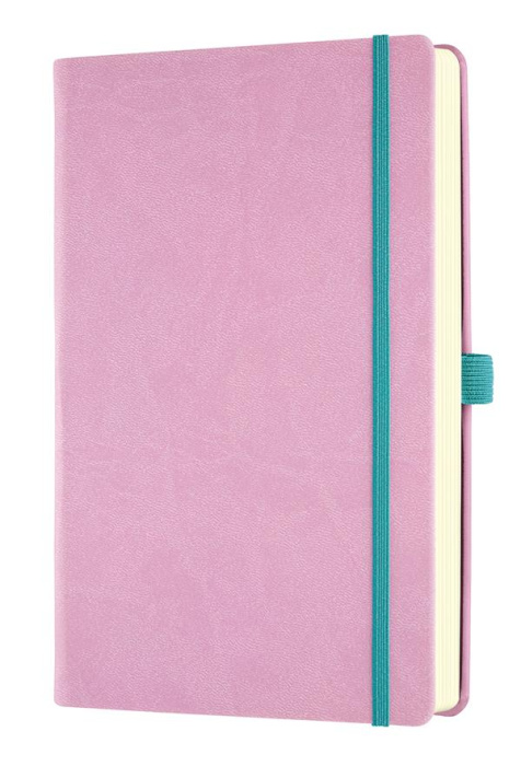 Emprunter CARNET AQUARELA GRAND FORMAT LIGNE MALLOW livre