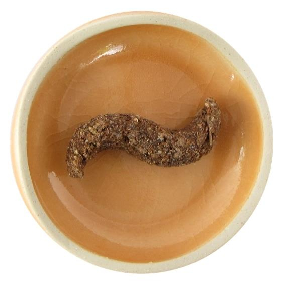 Emprunter ENCENS RARES : LE FEU SACRE DE LA SALAMANDRE - PRIERES - 25 GR livre