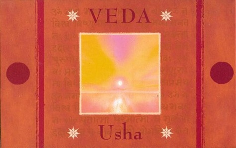 Emprunter ENCENS VEDA CONES - GINGER LILY / USHA livre