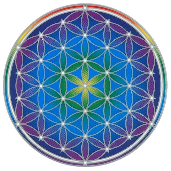 Emprunter Autocollant attrape-soleil - Fleur de Vie - Flower of Life Mandala livre