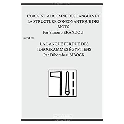 Emprunter L'ORIGINE AFRICAINE DES LANGUES ET LA LANGUE PERDUE DES IDÉOGRAMMES ÉGYPTIENS livre