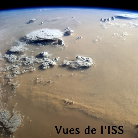Emprunter Vues de l'ISS livre