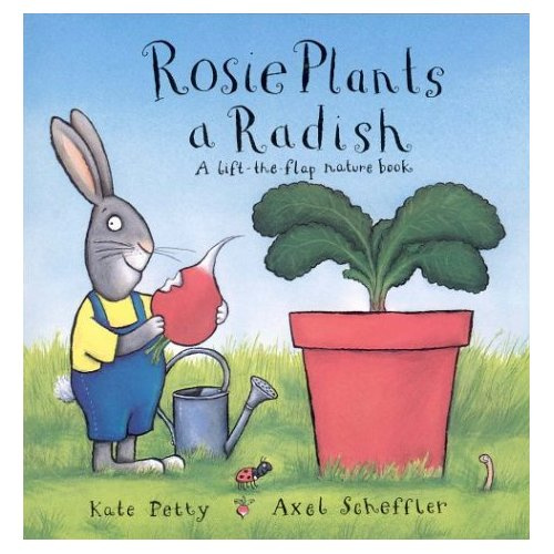 Emprunter ROSIE PLANTS A RADISH livre