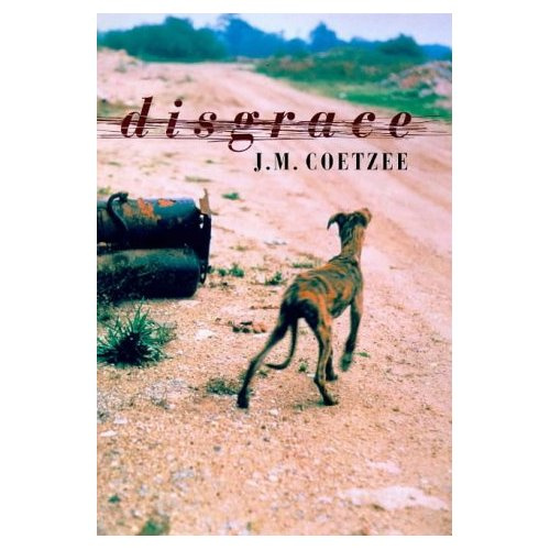 Emprunter DISGRACE livre