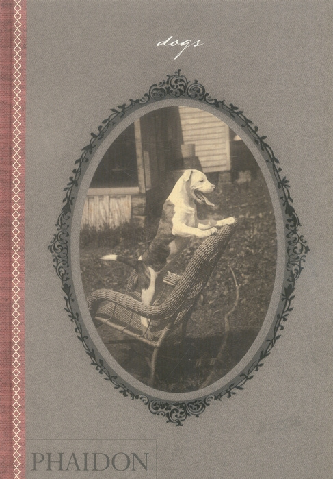 Emprunter Dogs livre