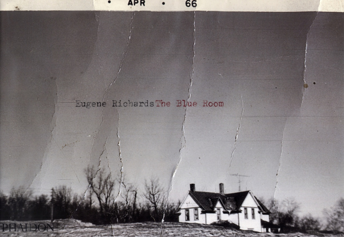 Emprunter The Blue Room livre