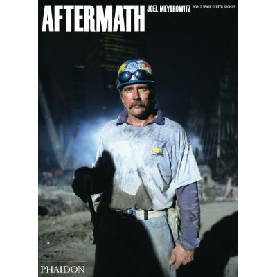 Emprunter Aftermath (2011 edition) livre