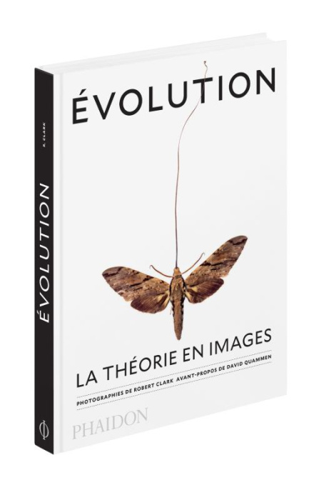 Emprunter Evolution - La théorie en images livre
