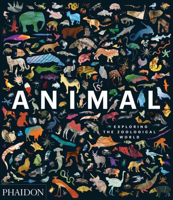 Emprunter ANIMAL - EXPLORING THE ZOOLOGICAL WORLD livre