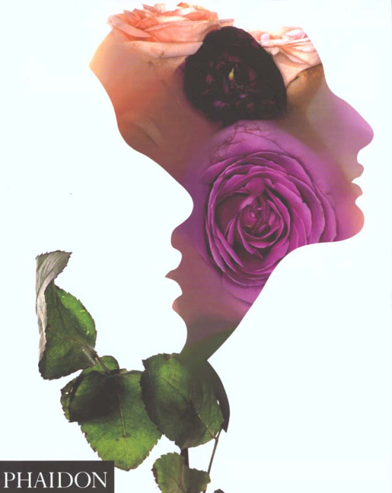 Emprunter Image impossible. La photographie de mode à l'ère du numérique livre