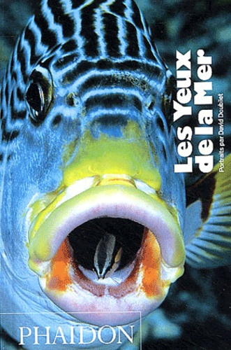 Emprunter Les yeux de la mer livre