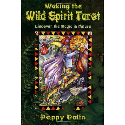 Emprunter STORIES OF THE WILD SPIRIT livre