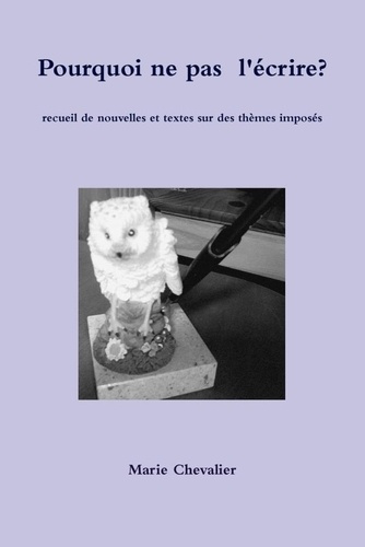 Emprunter Pourquoi ne pas l'écrire? livre