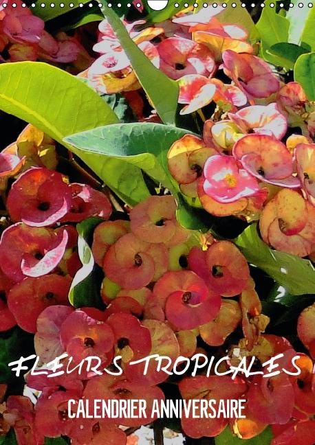 Emprunter Fleurs tropicales. Calendrier anniversaire livre