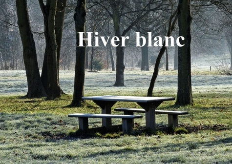 Emprunter HIVER BLANC LIVRE POSTER DIN A3 HORIZONTAL livre