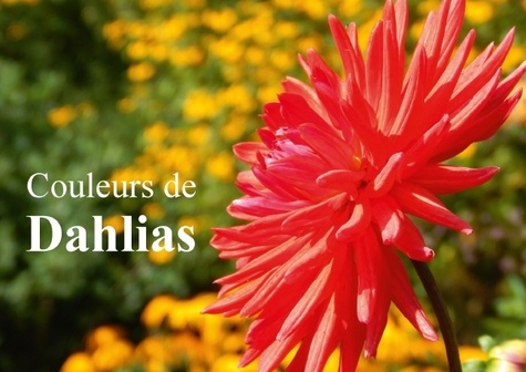 Emprunter COULEURS DE DAHLIAS LIVRE POSTER DIN A4 HORIZONTAL livre