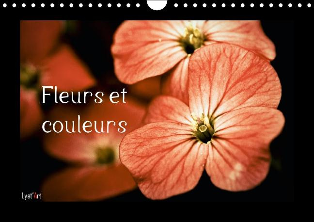 Emprunter Fleurs et couleurs. Calendrier mural perpétuel A4 horizontal livre