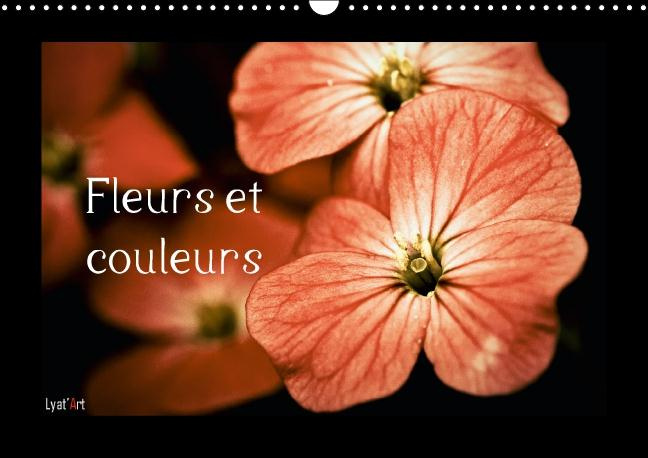 Emprunter Fleurs et couleurs. Calendrier perpétuel A3 horizontal livre