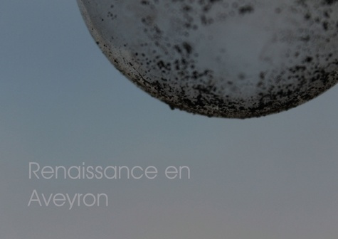 Emprunter RENAISSANCE EN AVEYRON LIVRE POSTER DIN A3 HORIZONTAL livre