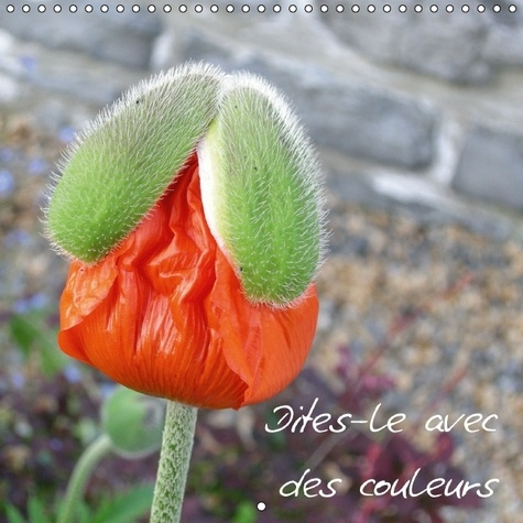 Emprunter DITES LE AVEC DES COULEURS CALENDRIER MURAL 2016 300 300 MM SQUARE livre