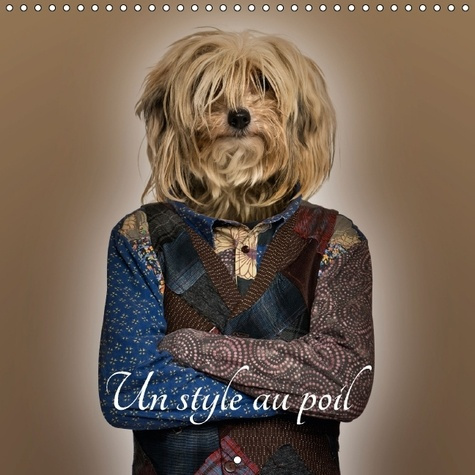 Emprunter UN STYLE AU POIL CALENDRIER MURAL 2016 300 300 MM SQUARE livre